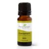 Plant Therapy Cardamom Essential Oil 10 mL (1/3 oz) 100% Pure, Undiluted, Therapeutic Grade 0.34 Fl Oz (Pack of 1) 46 71FQmttVJML
