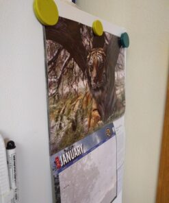 Officemate Heavy-Duty Magnets, Assorted Colors, Pack Of 30 34 71FQoshVHL