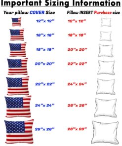 Foamily Throw Pillows Insert Set of 2 - 18 x 18 Insert For Decorative Pillow Covers - Made in USA - Bed and Couch Pillows Down Alternative 18x18 Inch (Pack of 2) 24 71FS6E 4wIL