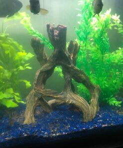Marina Decor Mangrove Root, Large 29 71FVfpEuJyL