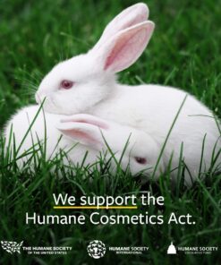 US Organic Rosehip Seed Oil, USDA Certified Organic, Cold Pressed, Virgin Organic, Amber Glass Bottle and Glass Eye Dropper for Easy Application - 2 oz (56 ml) 2 Fl Oz (Pack of 1) 18 71FWipkPY L 1