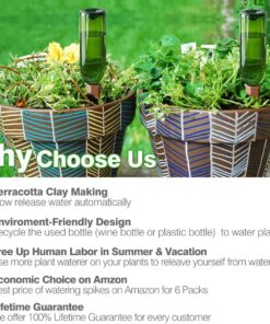 REMIAWY Plant Watering Devices 6 Pack Terracotta Vacation Plant Waterer Wine Bottle Watering Stakes Slow Release Plant Watering Spikes Perfect Self Watering Devices for Indoor Outdoor Plants 25 71FWoSGqUvL