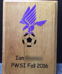 iImagine Vinyl Permanent Vinyl for Cricut, 40 Pack Permanent Adhesive Vinyl Sheets (12”x 12”) for Cricut, Silhouette Cameo and Any Craft Machine Cutter Multi 40 Pack 34 71FX91K7fuL