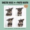 Shelter Dogs in a Photo Booth 2018 Wall Calendar Calendar, Wall Calendar, May 30, 2017 10 71FXFvno7L