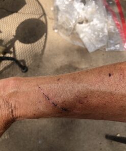 Zazzee High Strength Grape Seed 50:1 Extract, 20,000 mg Strength, 180 Vegan Capsules, 95% Polyphenols, 6 Month Supply, Concentrated, Standardized 50X Extract, 400 mg per Capsule, Non-GMO, All-Natural 31 71FZvkjU4ML