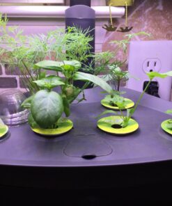 AeroGarden Classic 6 with Gourmet Herb Seed Pod Kit 47 71Fd33 QoL