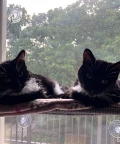 Kitty Cot Original World's Best Cat Perch (Large) Black Color Kitty Cot Large 48 71Feq0xC6L