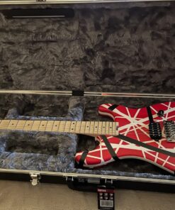 Gator Cases Deluxe ABS Molded Case for Strat/Tele Style Electric Guitar with Internal LED Lighting (GC-ELECTRIC-LED),Black 39 71FidhkND9L