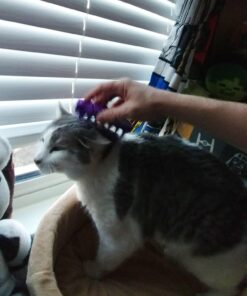 KONG - Cat ZoomGroom Purple 45 71FjfaHqECL