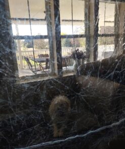 Meguiar's PlastX Clear Plastic Polish, Fast & Easy Plastic Restorer for Headlights, Taillights, Soft Top Windows, and More, Remove Scratches, Cloudiness, Yellowing, and Oxidation, 10 oz. 52 71Fjv9LW8wL