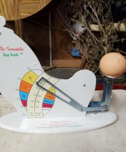 The Incredible Egg Scale 1 32 71FnJ0D6n4L