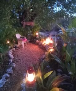 Stansport Hurricane High Oil Lantern 12 Inch 39 71FnonAingL