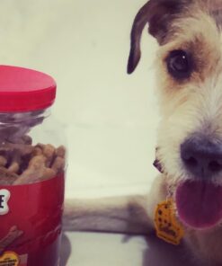 Milk-Bone Soft and Chewy Chicken 12 Vitamins and Minerals Recipe Healthy and Delicious Dog Snacks - 37 Ounces 13 71Fqemr7H L