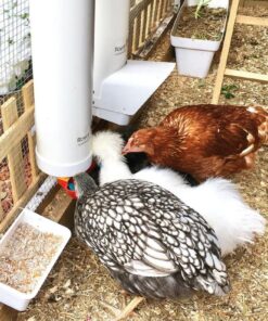 Royal Rooster Chicken Feeder and Waterer Set - Includes 1 Gallon Waterer with 2 Cups and 7lb Feeder for Chickens - Chicken Coop Accessories with Hanging Chicken Poultry Feeder and Chicken Waterer Kit 2-Cup Waterer 33 71Frb86I2RL