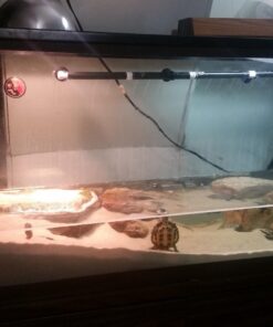 Carib Sea ACS05820 Super Natural Moonlight Sand for Aquarium, 5-Pound 5 lb 26 71Fs14EIreL