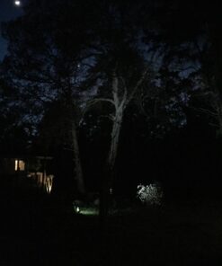 LemonBest 2pcs LED Landscape Garden Wall Yard Path Pond Flood Spot Light Outdoor IP65 Decorative Lamp Cool White 12V 38 71FsXD3AqAL