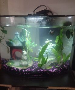 Tetra Crescent aquarium Kit 5 Gallons, Curved-Front Tank With LEDs,black 5-Gallon 27 71FvWpajL