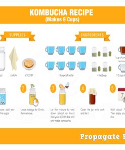 Wrap Around Kombucha Heater Belt | Propagate Pro Brewing and Fermentation Heat Mat Warmer | Keeps Your SCOBY Happy and Productive with Stickon Thermometer 2 3 inch x 20 inch 24 71FvtS259yL