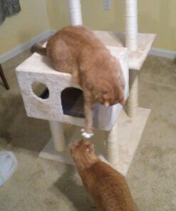 Go Pet Club Cat Tree, 50W x 26L x 72H, Beige 61 71FwVHPo2qL