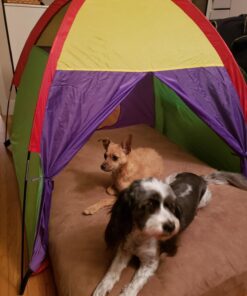 Alvantor Kids Tents Indoor Children Play Tent For Toddler Tent For Kids Pop Up Tent Boys Girls Toys Indoor Outdoor Playhouse Camping Playground 8010 Rainbow 48”x48”x42" 38 71Fyj0fe8iL