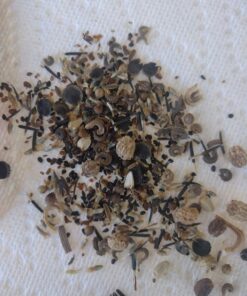 Wildflower Seeds Edible Flowers Mix - 1 Ounce Over 7,000 Open Pollinated Annual and Perennial Seeds 1 Ounce Packet 48 71G GcZ1QIL