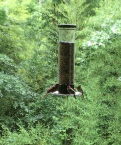 Droll Yankees YCPT-360 021964205300 Squirrel Proof Bird Feeder, Yankee Tipper, 17-Inch, 4 Po, Black 8 71G0egRmc1L