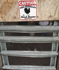 Caution Attack Rooster 4 71G1E8IuKlL