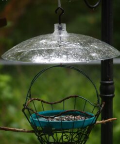 Perky-Pet 340 Transparent 16-Inch Squirrel Baffler 33 71G3jEDhmL