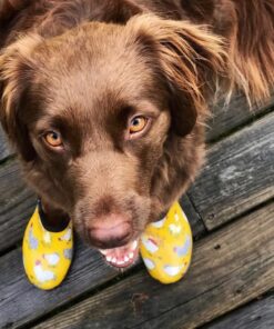 Sloggers Waterproof Garden Shoe for Women – Outdoor Slip-On Rain and Garden Clogs with Premium Comfort Support Insole 8 Chickens Daffodil Yellow 22 71G4udzUwuL 1