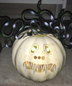 Fun Central 12 Pack - Realistic Rubber Snakes Toys for Garden in Bulk - 22 inches 35 71G5UW ndbL