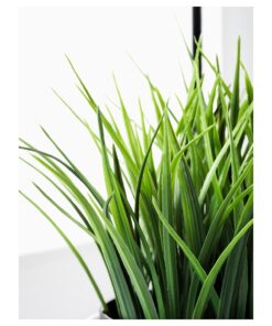 Ikea Artificial Potted Plant, Wheat Grass, 7.75 Inch 12 71G81rFU8fL