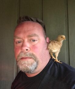 Music Stand Page Holder- Clear Grip 2-Pack 18 71GAhWsI8L