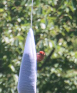 Audubon Park 12266 Nyjer/Thistle Seed Sock Feeder Wild Bird Food, 12-Ounces 5 71GDnjPA3vL