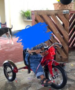 Schwinn Roadster Bike for Toddler, Kids Classic Tricycle, Low Positioned Steel Trike Frame with Bell and Handlebar Tassels, Rear Deck Made of Genuine Wood, for Boys and Girls Ages 2-4 Year Old, Red 35 71GEhe6XM0L 1