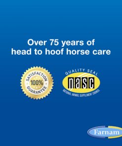 Farnam Apple Elite Horse Electrolyte Powder, Replaces minerals lost in sweat during exercise, extreme weather & stressful conditions, 5 lb., 40 day supply 5 pounds 17 71GHa5Jz3JL