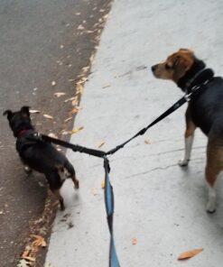 Leashboss Extra Long Double Dog Leash Coupler for Large Dogs - 16-28 Inches - Adjustable 1 Inch Heavy Duty Nylon Leash Splitter for Large Dogs (1 Inch Wide x 16-28 Inches, Black) 16-28 Inch 25 71GK0AbK UL