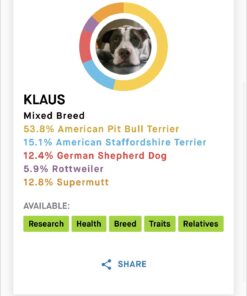 Embark Breed & Health Kit (2 Pack) - Dog DNA Test - Discover Breed, Ancestry, Relative Finder, Genetic Health, Traits, COI 2 Count (Pack of 1) 23 71GLNhC232L 1