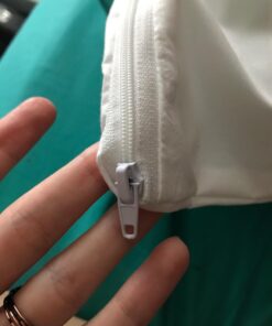 Premium BED Bugs Pillow Protector a Set of 2 Pillow Protectors (Queen (21"x"28)) Queen (21"x"28) 18 71GLs7fQ3LL