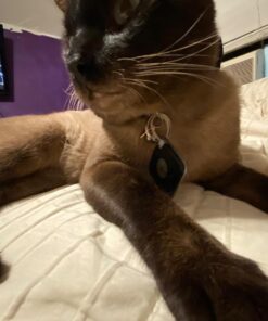 Tile Slim (2016) Accessory Bundle - Discontinued by Manufacturer 50 71GMvuq9ynL