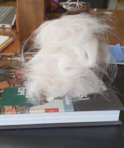 Mr. Peanut's Grooming Glove Brush and Deshedding Aid - Pet Hair Remover Mitt - for Long and Short Hair Grooming of Dogs, Horses, Bunnies and Some Agreeable Cats 36 71GO4OjpuxL