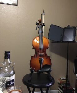 Don't Fret FF121 First Fret Beginners Fingering Decal for 4/4 Violin and 14-Inch Viola violin + viola Single 4/4 Violin and 14" Viola 10 71GOC0H GL