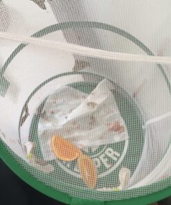 10 Live Caterpillars Shipped Now: Butterfly Kit Refill 53 71GTcHRFWSL