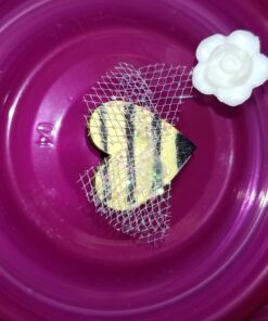 Darice 28-Gauge Beading Wire, 40-Yard, Silver 11 71GZXBk0vL