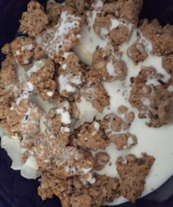 Julian Bakery® ProGranola® Cereal | Vanilla Cinnamon | 12g Protein | Paleo | 2 Net Carbs | Gluten-Free | Grain-Free | 15 Servings 1.22 Pound (Pack of 1) 43 71Ga9aZgkRL