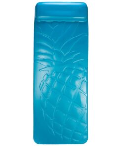 SwimWays Aquaria Aquaria Pineapple 4 71GbBu70FgL
