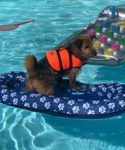 SwimWays Paddle Paws Spring Float Dog Raft, Small (0-65 lbs.) 30 71GbYgPq1kL