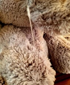 ebba™ Playful Lil Benny Phant™ Baby Stuffed Animal - Soft & Cuddly Toy - Imaginative Play - Gray 10 Inches Jungle 10-Inches 29 71GcQi61lDL