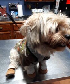 URBEST Dog Shoes with Hook Loop Closure Booties Pet Dog Chihuahua Shoes Boots, 4Pcs (5#, Brown) 5# 35 71Gcqb5JVGL