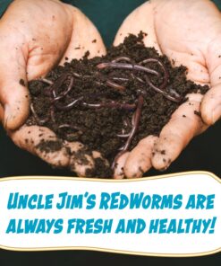 Uncle Jim's Worm Farm Red Wiggler Composting Worms Mix for Garden Soil or Fishing | Pack of Compost Worms Improves Soil Structure and Quality for Healthier Gardens | 250 Count Seafood 250 Count (Pack of 1) 19 71Gfo5gjHkL 1