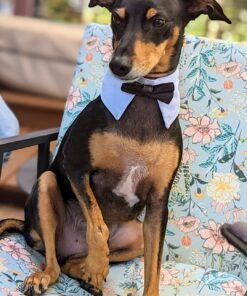 Alternative view of TUF-FOOT Liquid Foot, Hoof and Paw Protection - 7 oz 1